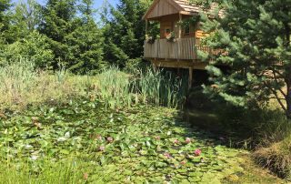 Glamping hišica Mali raj